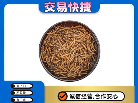 花都区回收散虫草